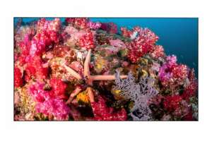  Фото видеостена 3x2 eliteboard 55" bb557ffbed - фото 3