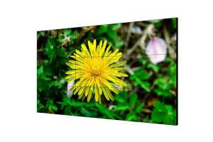  Фото видеостена 3x3 hikvision 55" ds-d2055le-g - фото 3