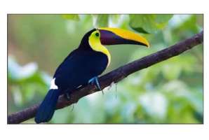  Фото видеостена 3x3 exell 55" expd-wa55ab05 - фото 3